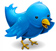 Segueix-nos a Twitter